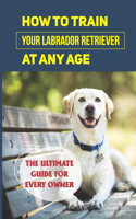 How To Train Your Labrador Retriever At Any Age: The Ultimate Guide For Every Owner: Clicker Training Lab Retriever Guide