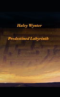 Predestined Labyrinth