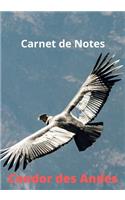 Carnet de Notes Condor des Andes