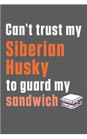 Can't trust my Siberian Husky to guard my sandwich: For Siberian Husky Dog Breed Fans