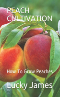 Peach Cultivation: How To Grow Peaches