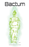 Bactum