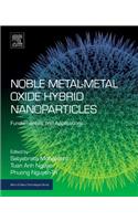 Noble Metal-Metal Oxide Hybrid Nanoparticles