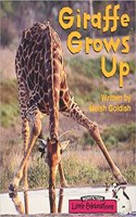 Little Celebrations, Non-Fiction, Giraffe Grows Up, Single Copy, Stage 2a