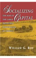 Socializing Capital
