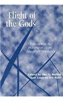 Flight of the Gods: Philosophical Perspectives on Negative Theology