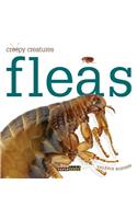 Fleas