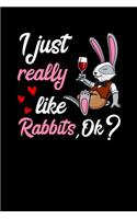 I Just Really Like Rabbits, Ok?: Cute Bunny Notebook