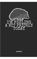 I'm Feeling a Bit Prickly Today Notebook