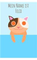 Mein Name ist Felix