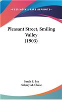 Pleasant Street, Smiling Valley (1903)