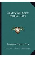 Grapevine Root Worm (1902)