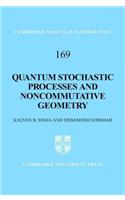 Quantum Stochastic Processes and Noncommutative Geometry