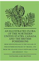 Illustrated Flora Of The Northern United States, Canada And The British Possessions - From Newfoundland To The Parallel Of The Southern Boundary Of Virginla, And From The Atlantic Ocean Westward To The 102D Meridian - Vol 1