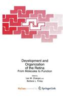 Development and Organization of the Retina