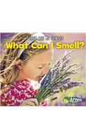 These are My Senses What Can I Smell?