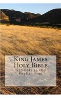 King James Holy Bible GENESIS