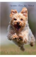 Yorkshire Terrier July Notebook Yorkshire Terrier Record, Log, Diary, Special Memories, To Do List, Academic Notepad, Scrapbook & More