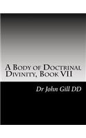 A Body of Doctrinal Divinity, Book VII