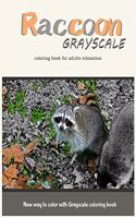 Raccoon Grayscale Coloring Book for Adults Relaxation