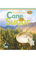 Cane to Sugar