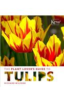 Plant Lover's Guide to Tulips