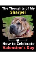 The Thoughts of My Sharpei: How to Celebrate Valentine's Day