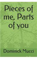 Pieces of me, Parts of you