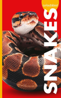 Curious about Snakes: (Curious about Pets)