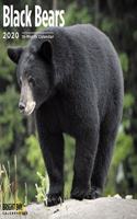 BLACK BEARS WALL CALENDAR 2020