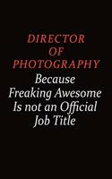 Director of Photography Because Freaking Awesome Is Not An Official job Title: Career journal, notebook and writing journal for encouraging men, women and kids. A framework for building your career.