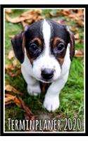 Terminplaner 2020: Jahresplaner von September 2019 bis Dezember 2020 mit Hund - Planer mit 174 Seiten in weiß im Format A5 mit glänzendem Soft Cover.