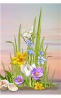 Spring Notebook