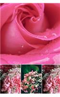 Flower Journal - Pretty in Pink