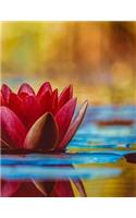 Water Lily Notebook