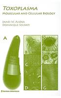 Toxoplasma