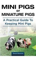 Mini Pigs or Miniature Pigs. A Practical Guide To Keeping Mini Pigs.