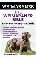 Weimaraner