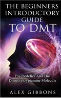 Beginners Introductory Guide To DMT - Psychedelics And The Dimethyltryptamine Molecule