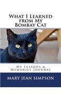 What I Learned from My Bombay Cat