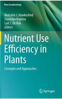 Nutrient Use Efficiency in Plants