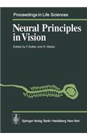 Neural Principles in Vision