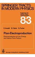 Pion-Electroproduction