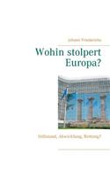 Wohin stolpert Europa?: Stillstand, Abwicklung, Rettung?(German)