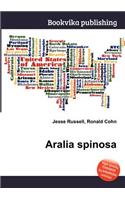 Aralia Spinosa