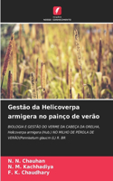 Gestão da Helicoverpa armigera no painço de verão