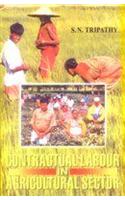 Contractual Labour in Agricultural Sector