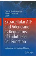 Extracellular ATP and adenosine as regulators of endothelial cell function: Implications for health and disease(English)