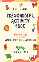 Preschooler Activity Book