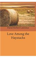 Love Among the Haystacks